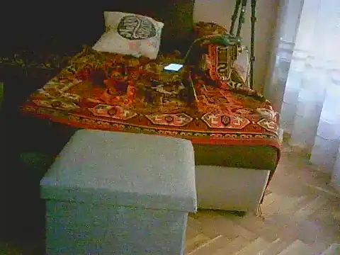 Snapshot of Power_Art chatting on 11, 3, 2025 Power Art online show from 11, 3, 2025