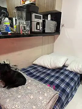 Snapshot of Dubois_Amy chatting on 24, 2, 2025 Dubois Amy online show from 24, 2, 2025