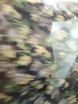 Snapshot of yoursana- chatting on 29, 10, 2025 yoursana- online show from 29, 10, 2025