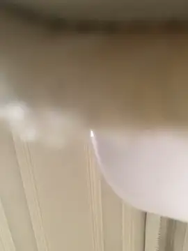 GHsveter online show from 31, 3, 2026