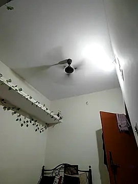 Swift2006 online show from 26, 3, 2026