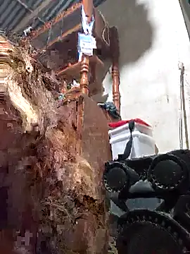 wet babexxx online show from 5, 11, 2025