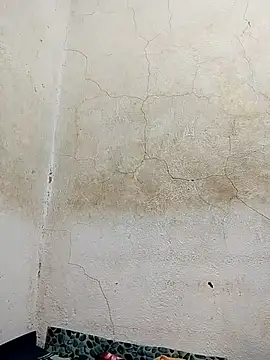 wet babexxx online show from 18, 11, 2025