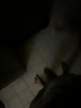 Dedoow online show from 6, 4, 2026