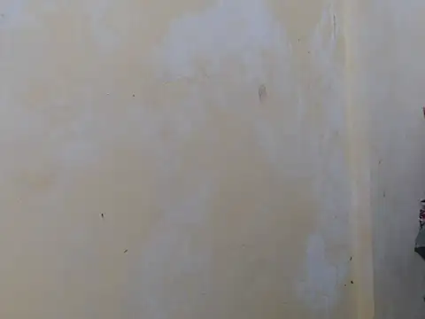 Alliayah Hollyx online show from 19, 10, 2025