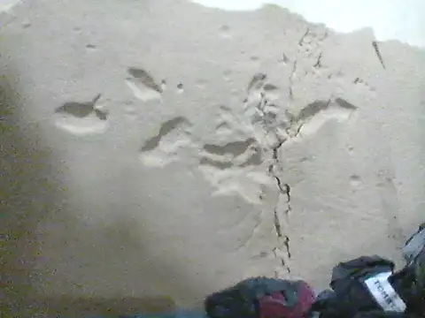 MarsWood online show from 16, 10, 2025