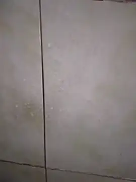 Xxxfill online show from 27, 11, 2025