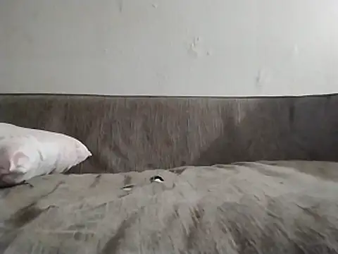 247Srokin online show from 22, 3, 2026