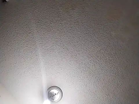 247Srokin online show from 24, 3, 2026