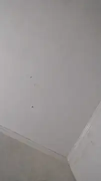 Snapshot of 247Srokin chatting on 25, 10, 2025 247Srokin online show from 25, 10, 2025