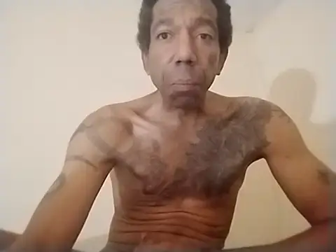 247Srokin online show from 11, 2, 2026