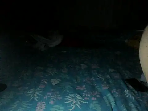 Sexyrkv91 online show from 13, 12, 2025