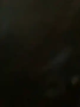 bea3liz online show from 23, 1, 2025