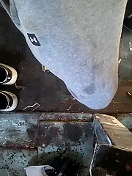 Wero4200 online show from 26, 3, 2026