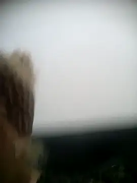 Snapshot of shaynarg chatting on 6, 3, 2025 shaynarg online show from 6, 3, 2025