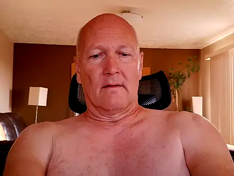 BasicAnt online show from 24, 7, 2026