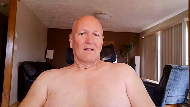 BasicAnt online show from 21, 7, 2026