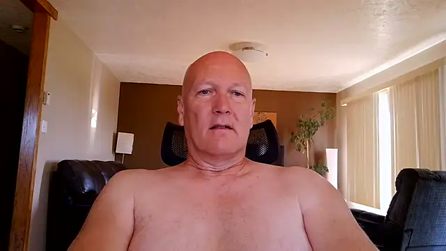BasicAnt online show from 19, 7, 2026