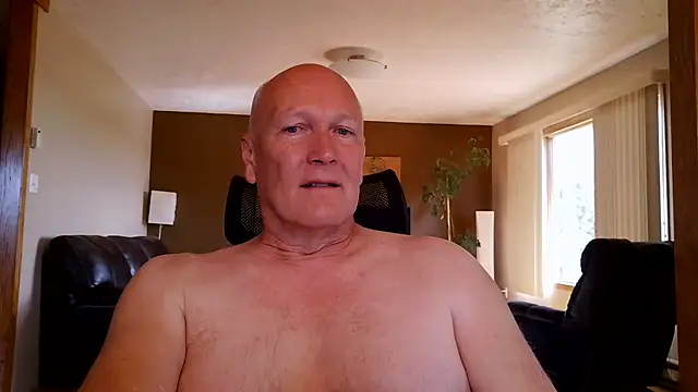 BasicAnt online show from 11, 7, 2026