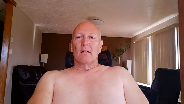 BasicAnt online show from 6, 7, 2026