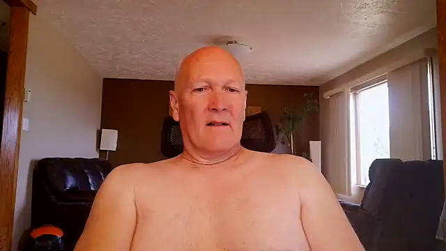 BasicAnt online show from 16, 6, 2026