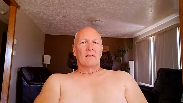 BasicAnt online show from 16, 7, 2026