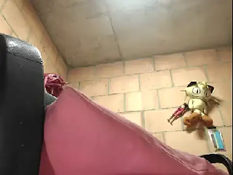 Camilalatin69 online show from 15, 12, 2025