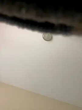 Iced cloudz online show from 14, 12, 2025