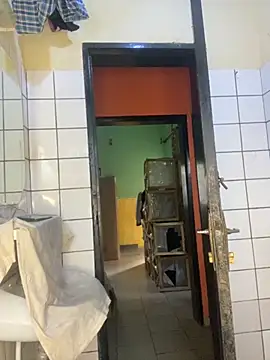 vannycov online show from 18, 11, 2025