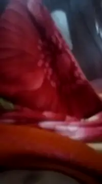 Emanuel45js online show from 16, 2, 2025