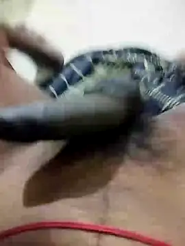 tamil camguy online show from 26, 1, 2025