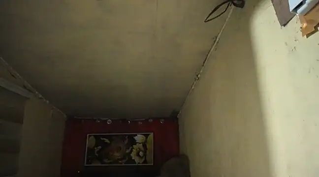 Alwinafox online show from 14, 1, 2025