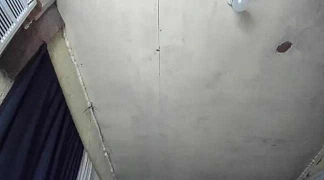 Alwinafox online show from 27, 2, 2025