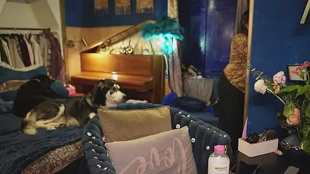 VanessaDoyle online show from 7, 4, 2026