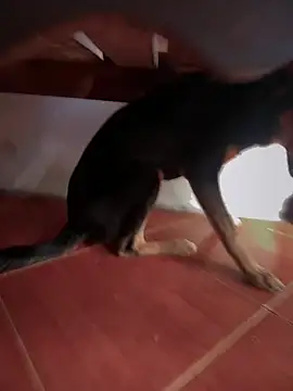 Snapshot of sweet_morbid_hot chatting on 26, 11, 2025 sweet morbid hot online show from 26, 11, 2025