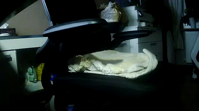 suedel65 online show from 5, 2, 2026