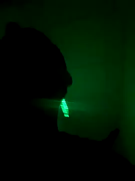 TigerOne19 online show from 27, 10, 2025