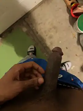 dingoding online show from 8, 5, 2026