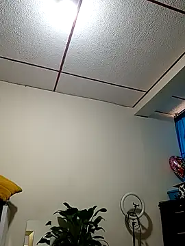 kelly dirty  online show from 9, 10, 2025