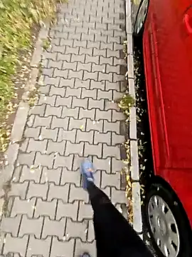 feathersify online show from 27, 10, 2025