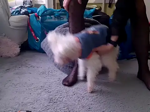 feathersify online show from 10, 2, 2026