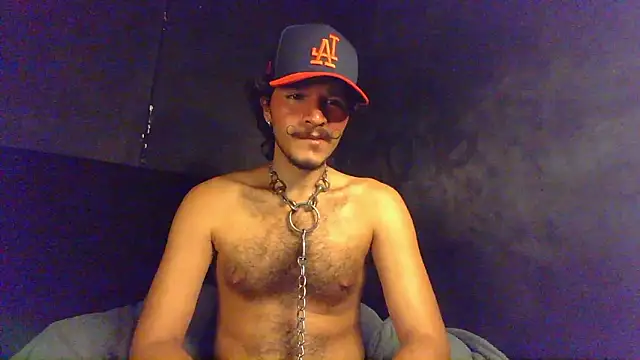 die mond online show from 17, 3, 2026