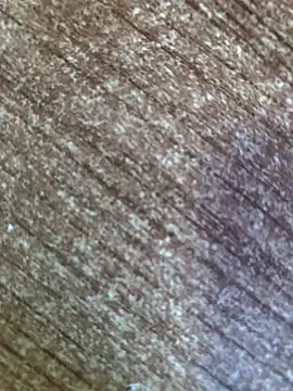 gokhanbey34 online show from 12, 10, 2025