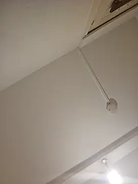 mario890605 online show from 21, 12, 2024