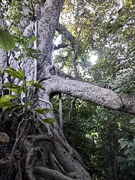 Rinku5553 online show from 7, 11, 2025