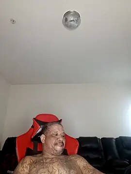 yellowwetfox online show from 13, 2, 2026