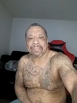 yellowwetfox online show from 25, 2, 2026