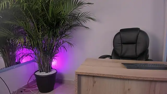 ale cam online show from 16, 2, 2026