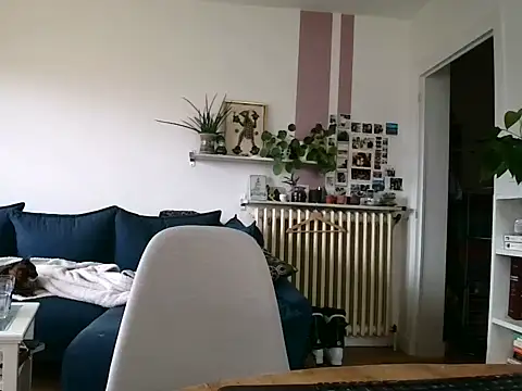 Simon-tem online show from 5, 2, 2026