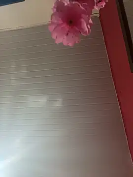 pimenta gaby online show from 5, 4, 2026